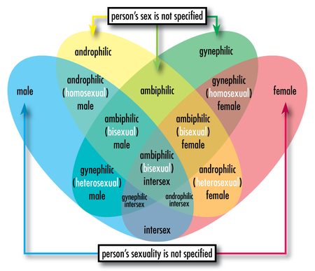 Wetters Glossary of Sex and Gender Terminology